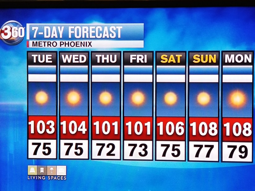 Forecast 20180529_130147